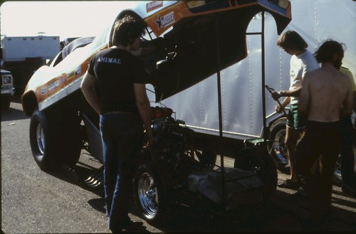 {short description of image}